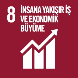 SDG 8
