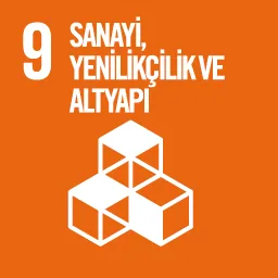 SDG 9
