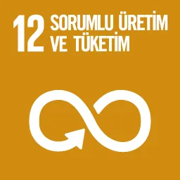 SDG 12