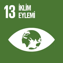 SDG 13